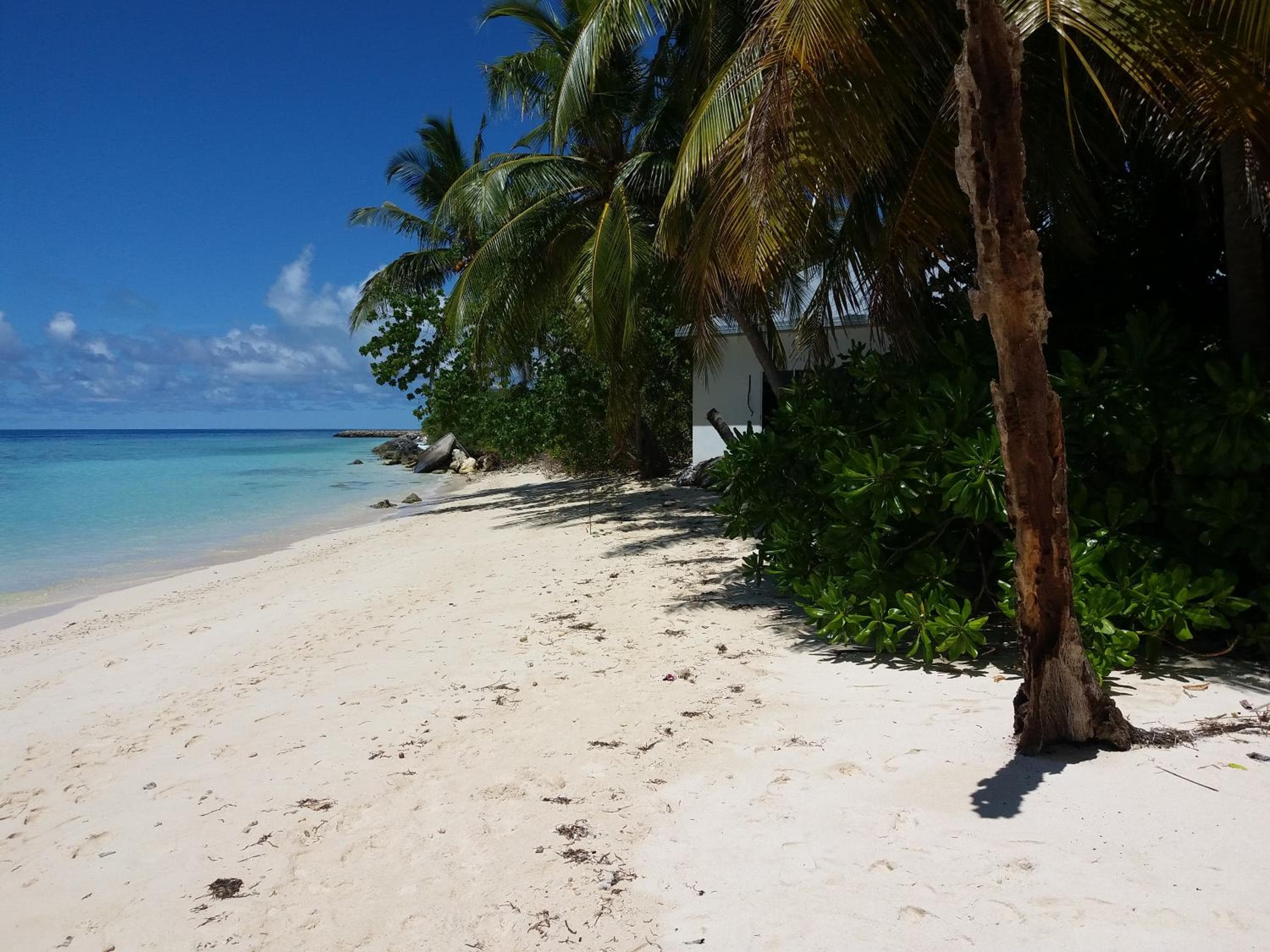 Ras Rana Lodge - View 84