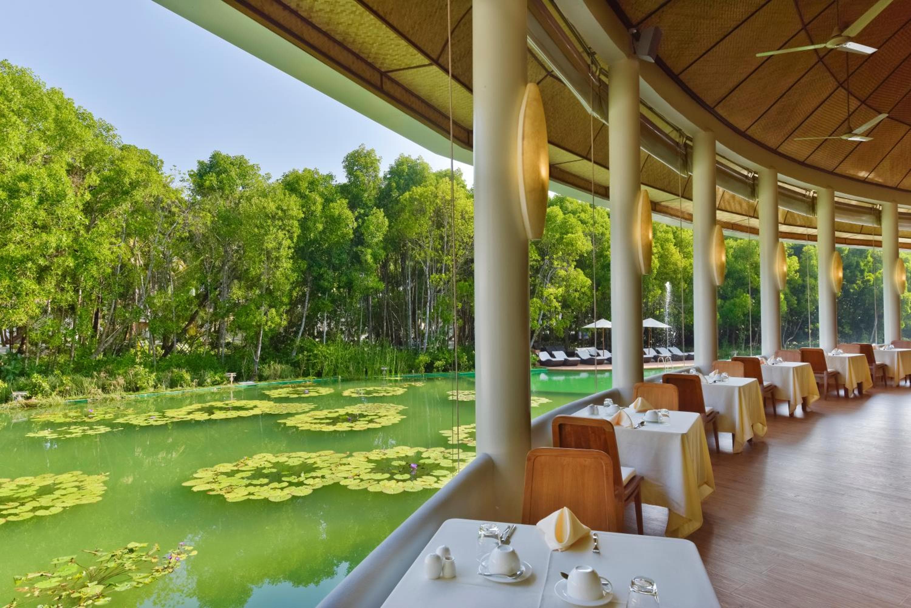 Dreamland Maldives Resort - View 19