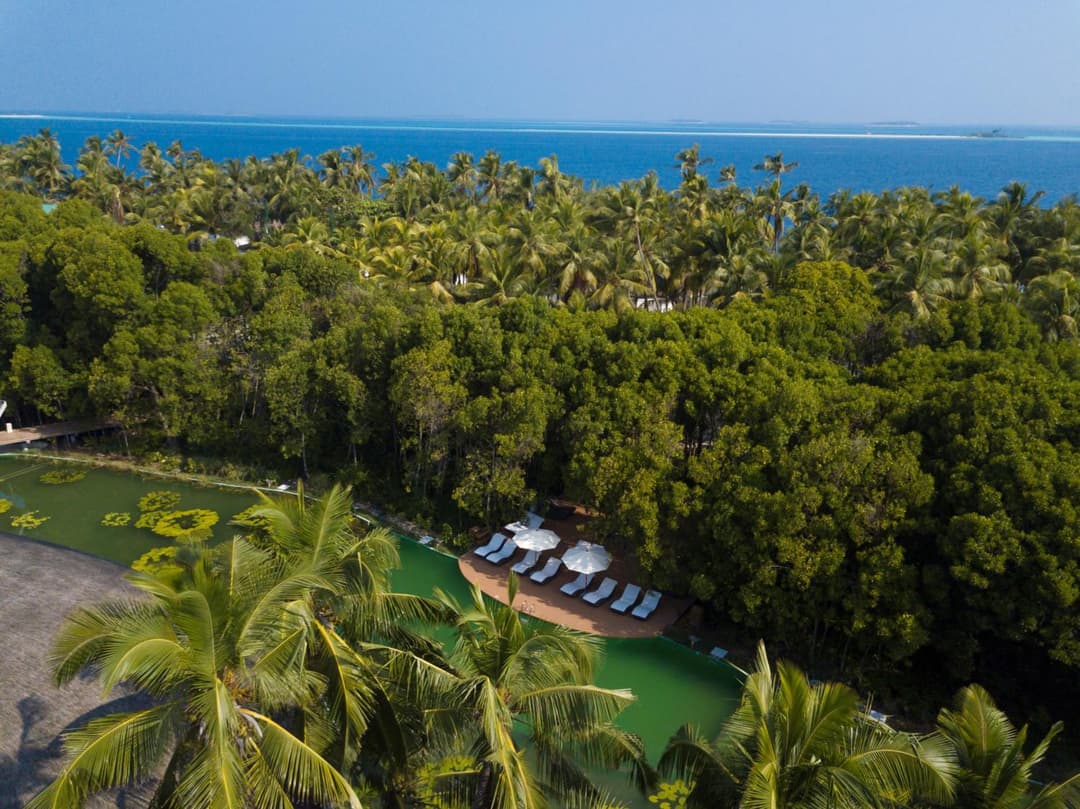 Dreamland Maldives Resort - View 31
