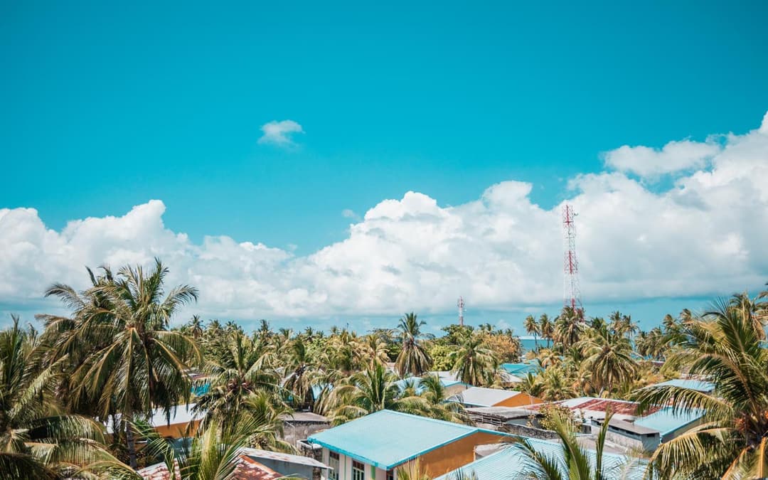 Tranquil Nest Vaavu - View 6