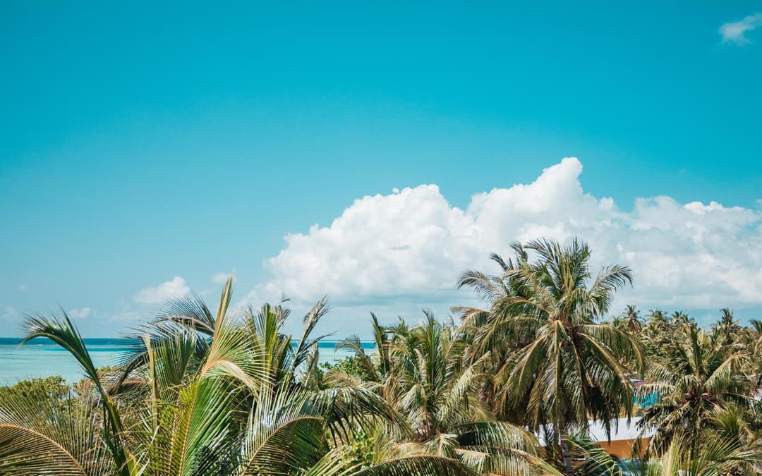 Tranquil Nest Vaavu - View 8