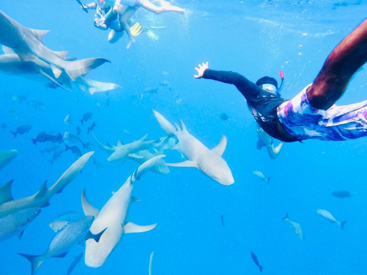 Maafushi View - View 7