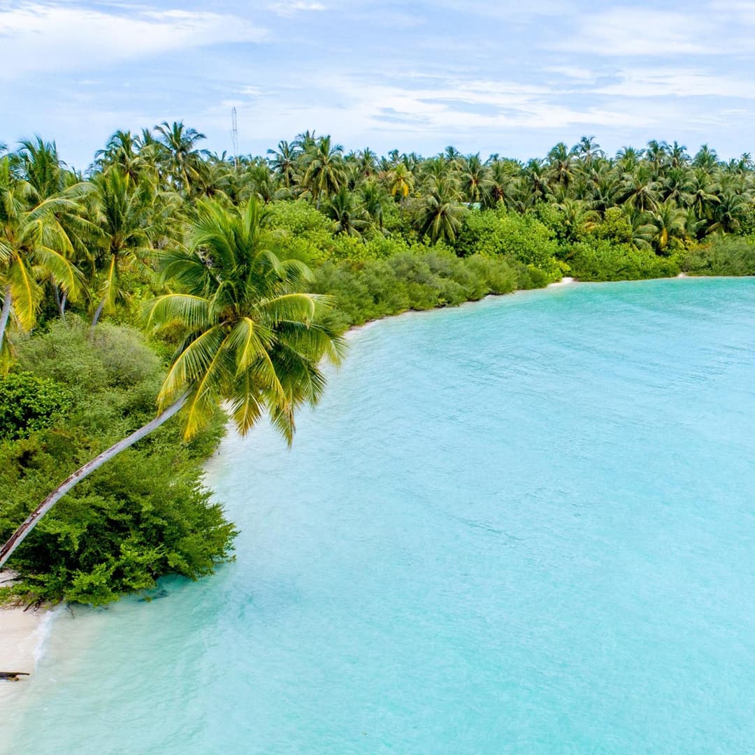 Tranquil Nest Vaavu - View 12
