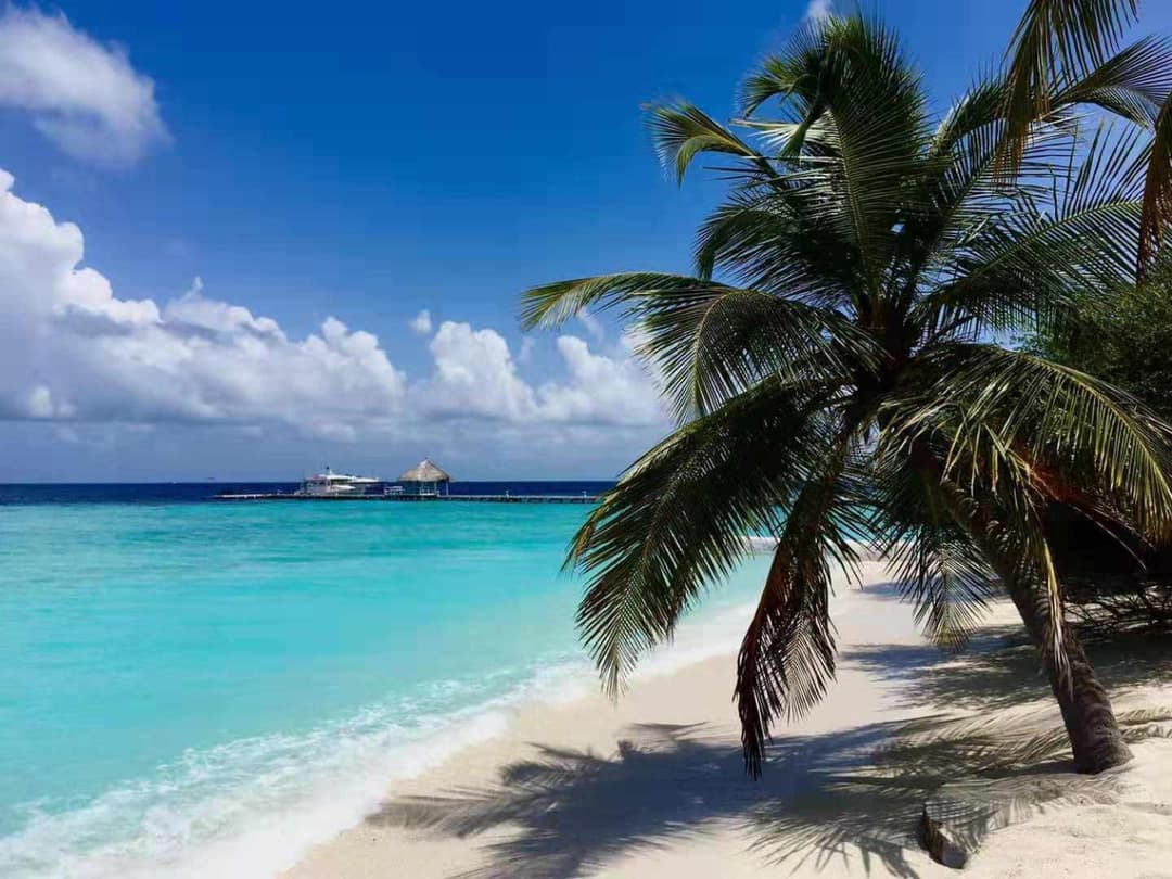 Eriyadu Island Resort - View 25