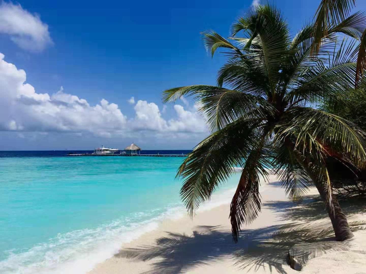 Eriyadu Island Resort - View 15