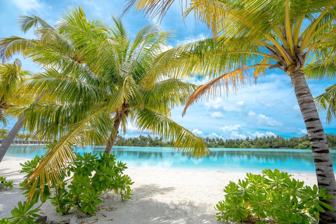 Rahaa Resort Maldives - View 29
