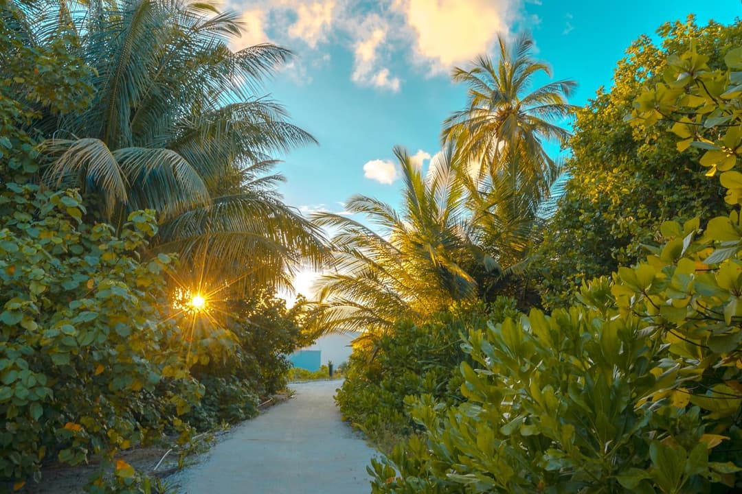 Rahaa Resort Maldives - View 38
