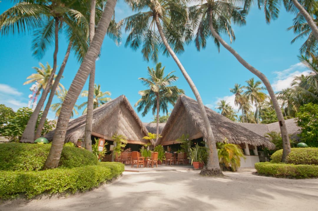 Fihalhohi Maldives - View 16