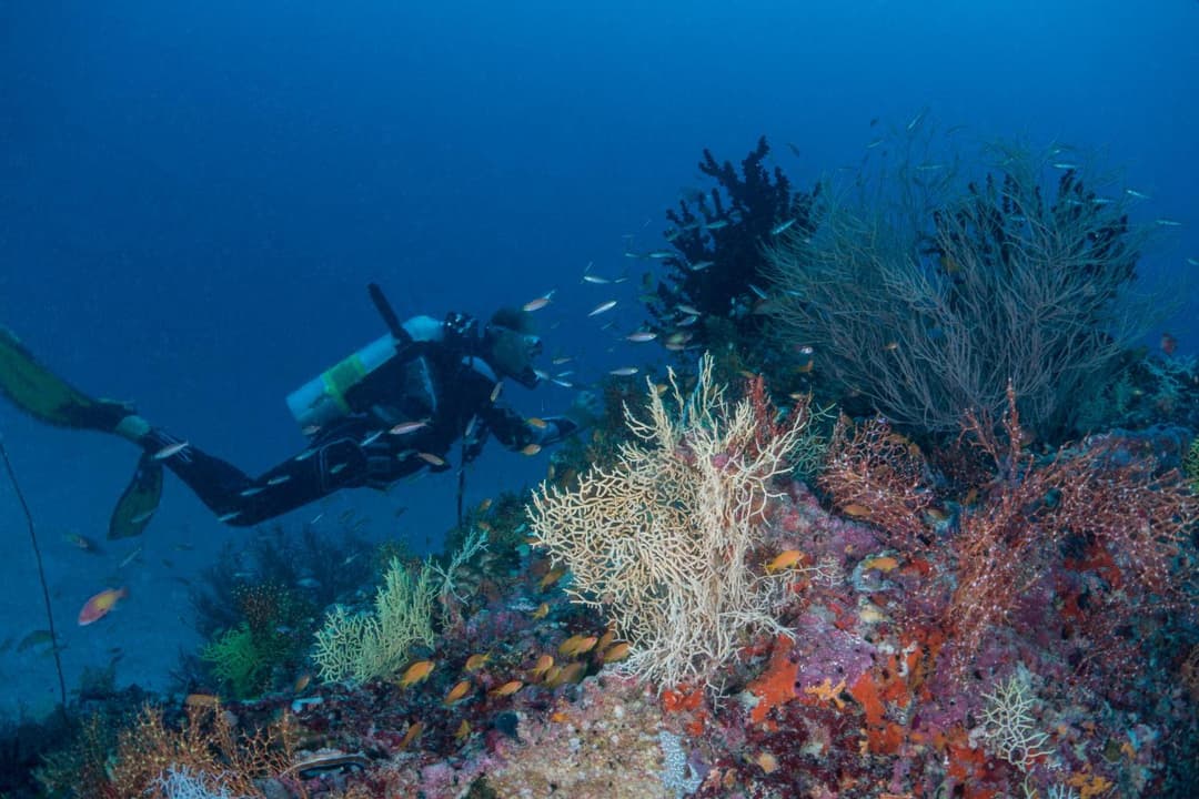 Milaidhoo Maldives - View 75