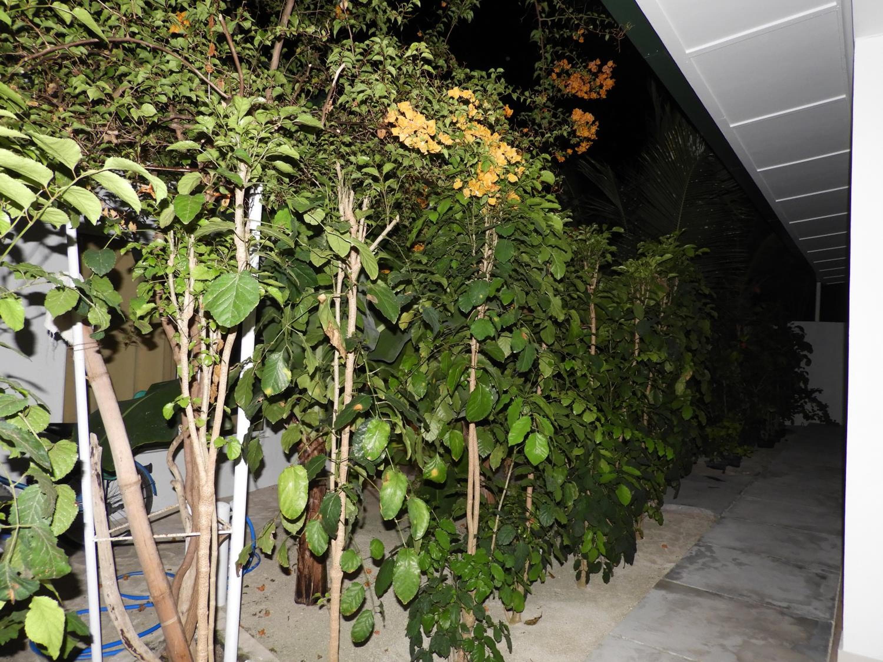 Karaa Village - View 17