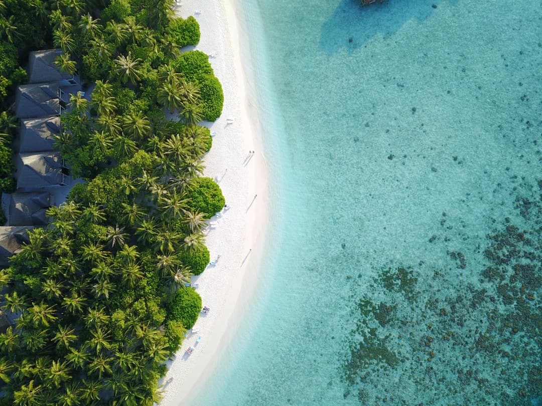 Fihalhohi Maldives - View 13