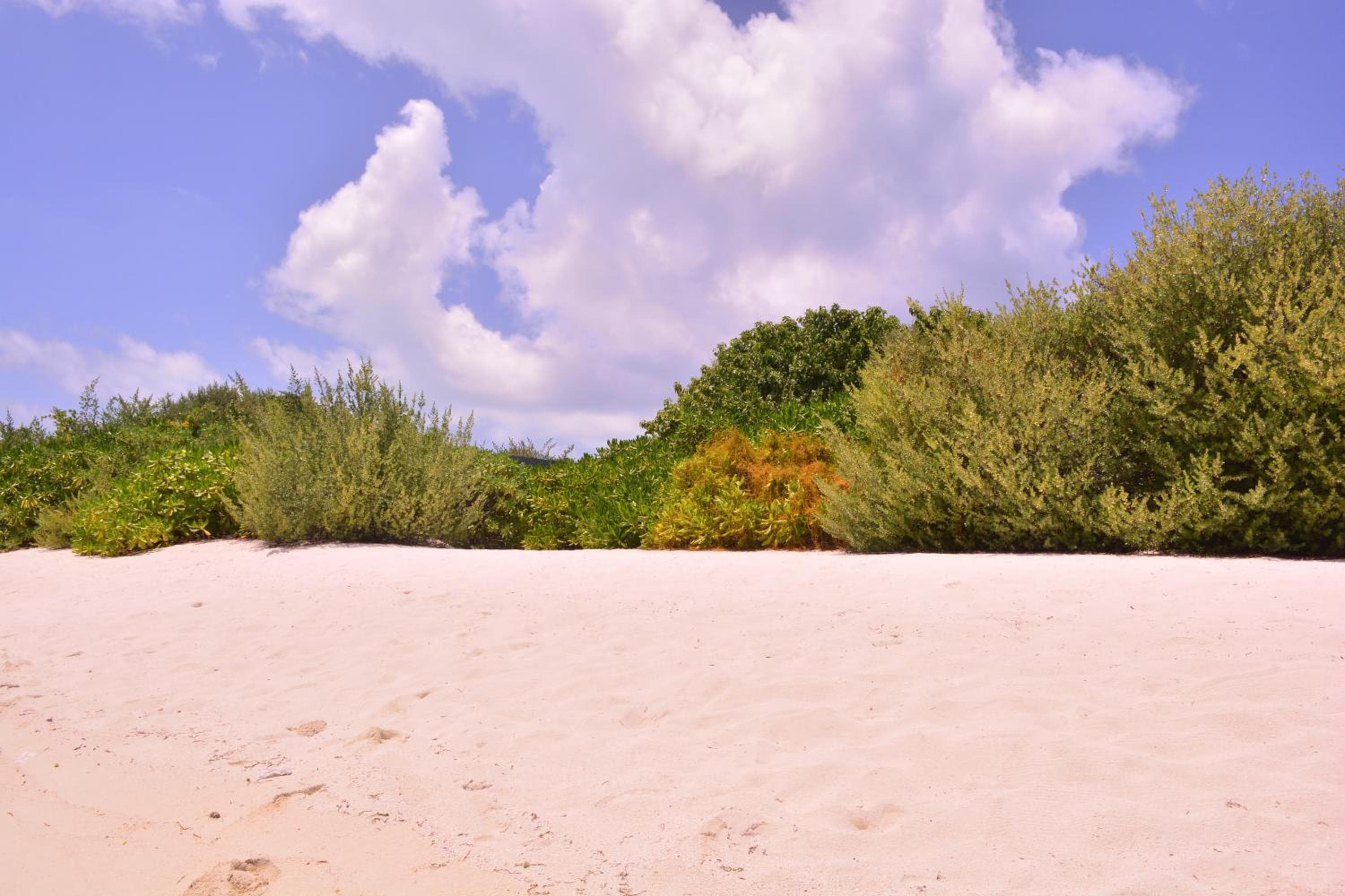 Newtown Inn - View 9