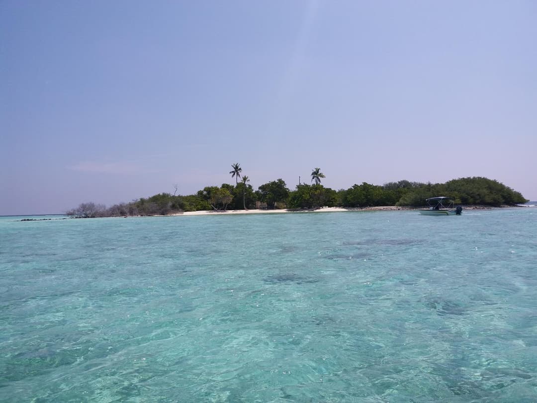 Ras Rana Lodge - View 99