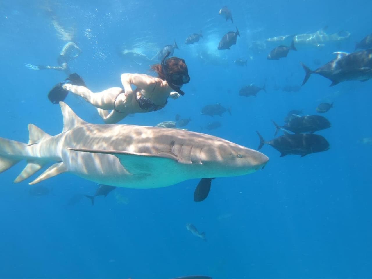 Athens View Hotel - View 74