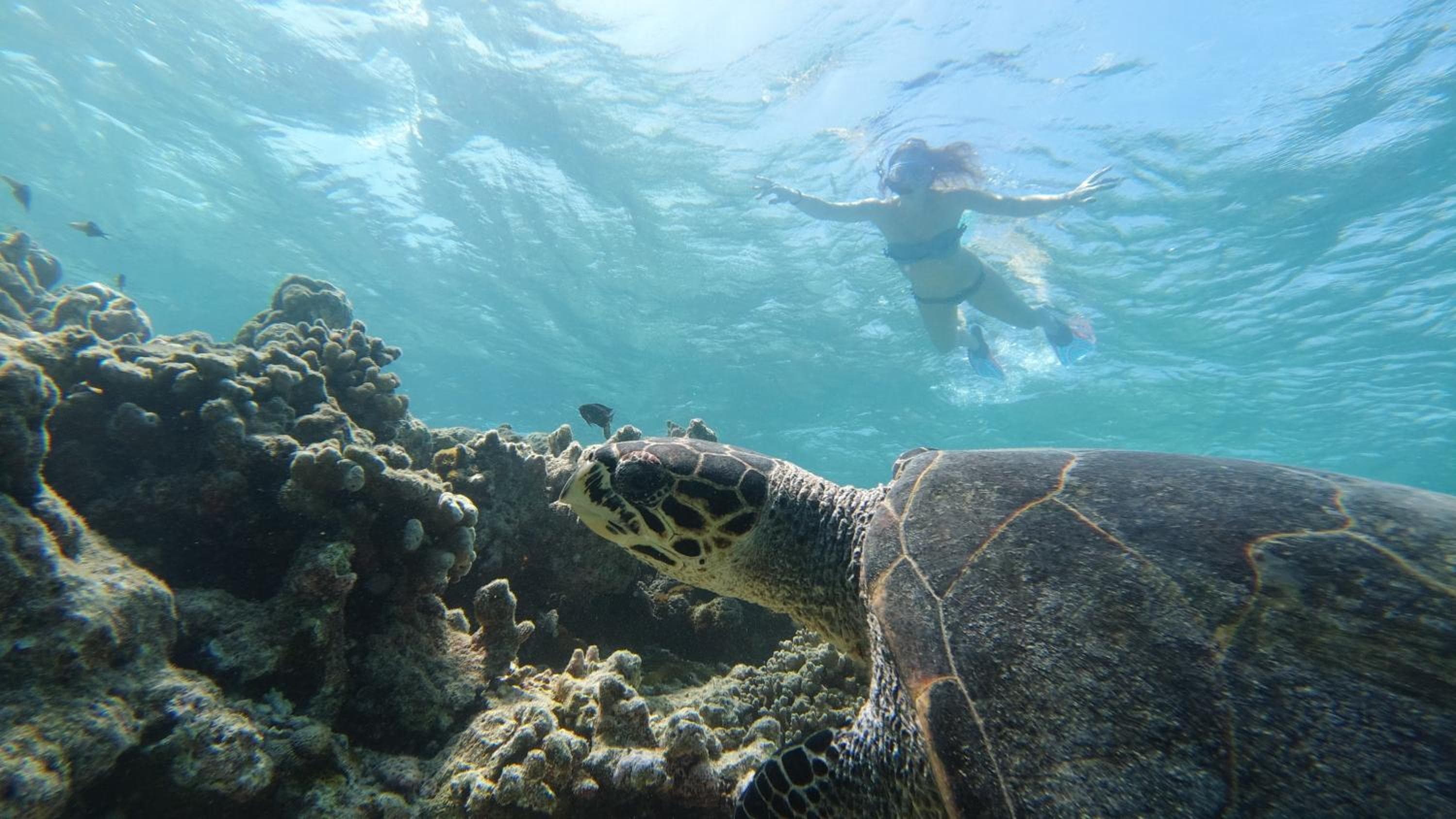 Mariana Maldives - View 18