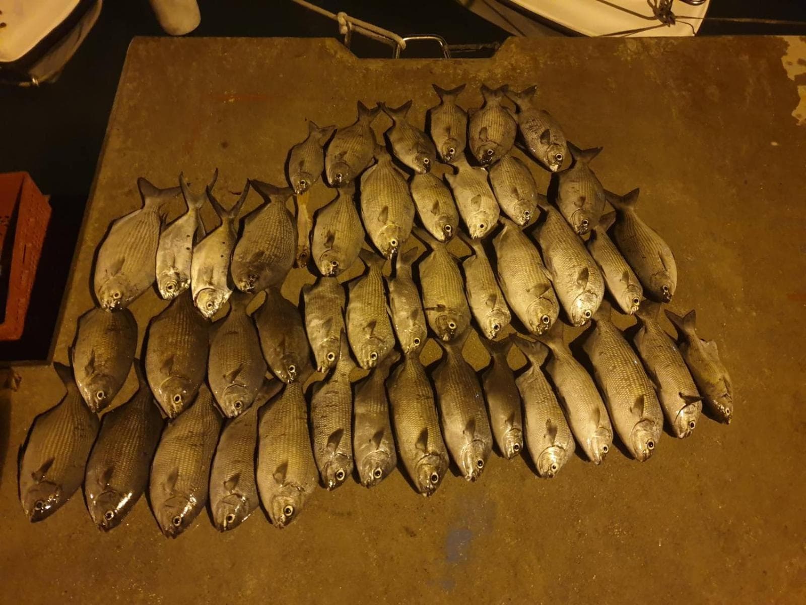 PERLA Dhangethi - View 9