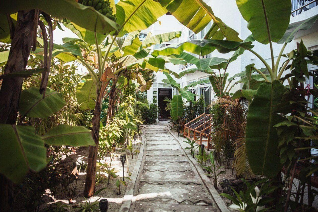 PERLA Dhangethi - View 8