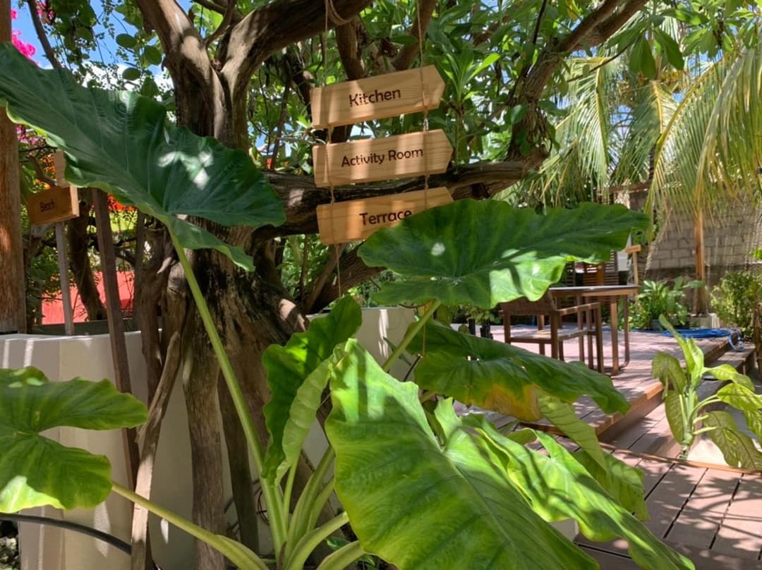 Viluveli Holiday Retreat - View 55