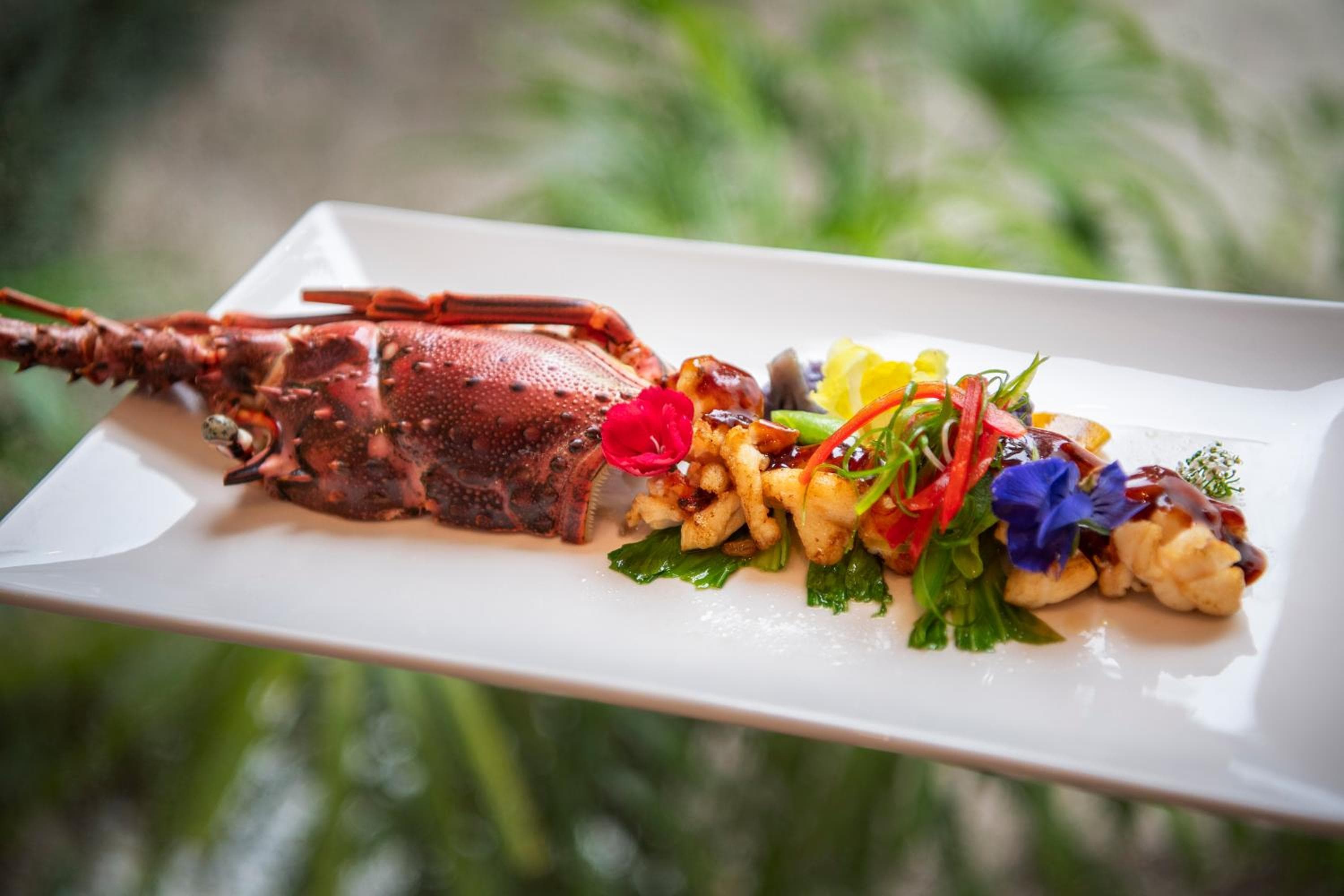 Emerald Maldives Resort & Spa-Deluxe All Inclusive - View 34