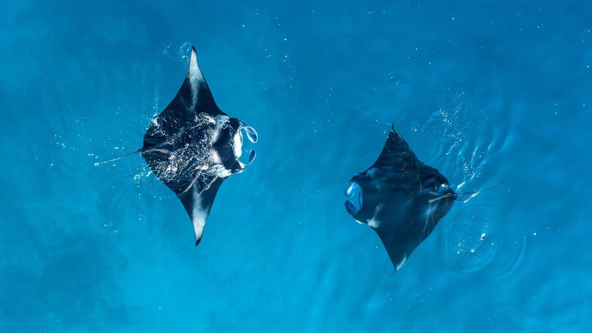 Arena Beach Hotel - View 30