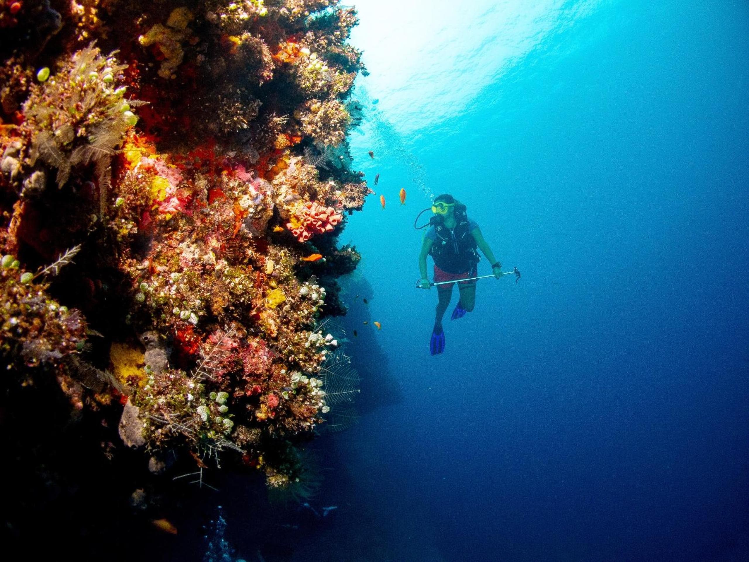 Bliss Dhigurah - View 39