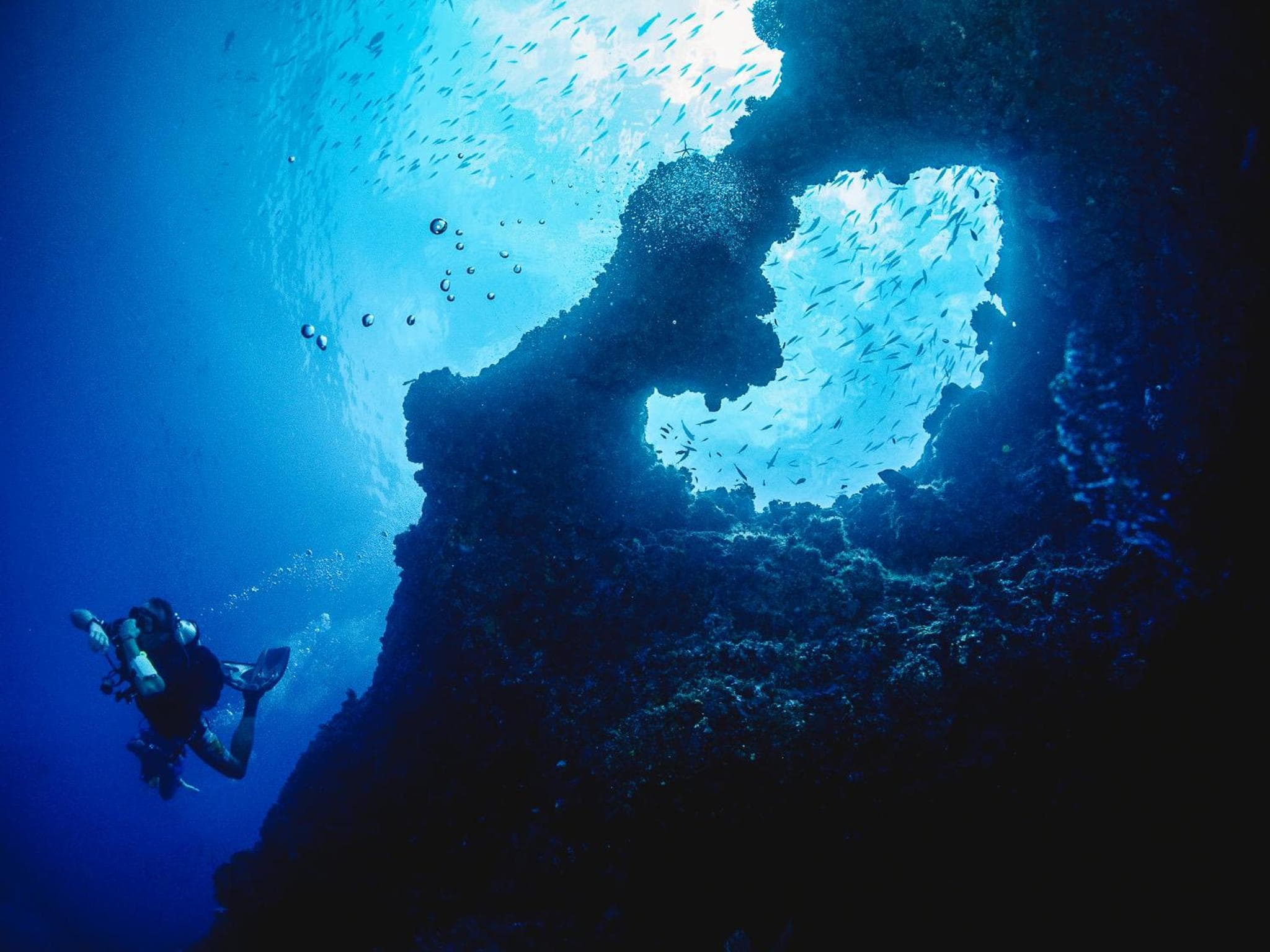 Bliss Dhigurah - View 108