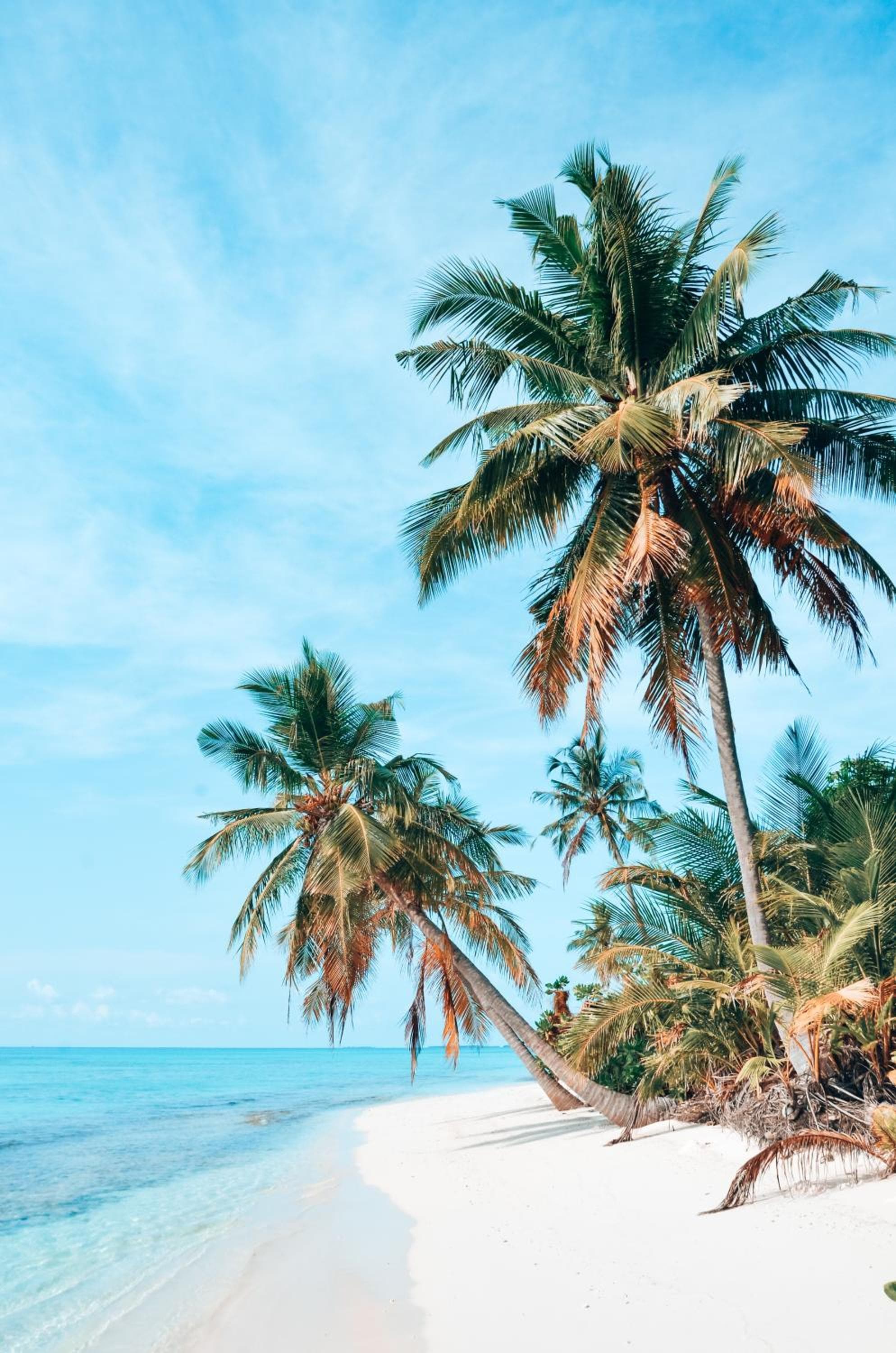 Bliss Dhigurah - View 16