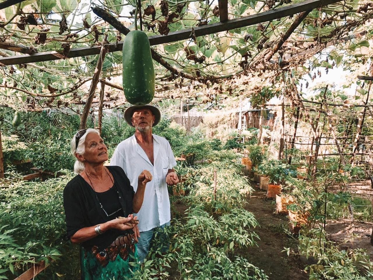 Bliss Dhigurah - View 52