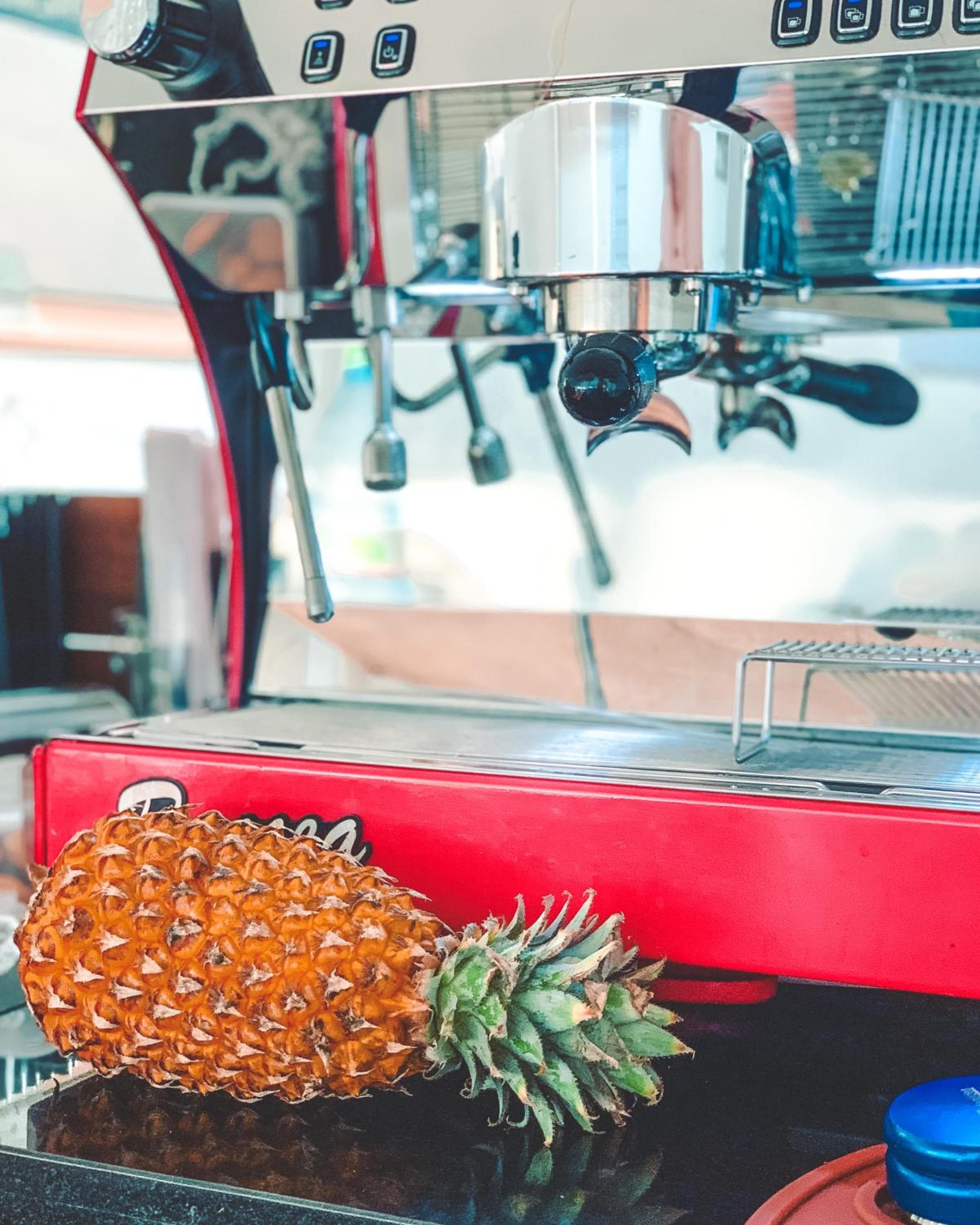 Bliss Dhigurah - View 56