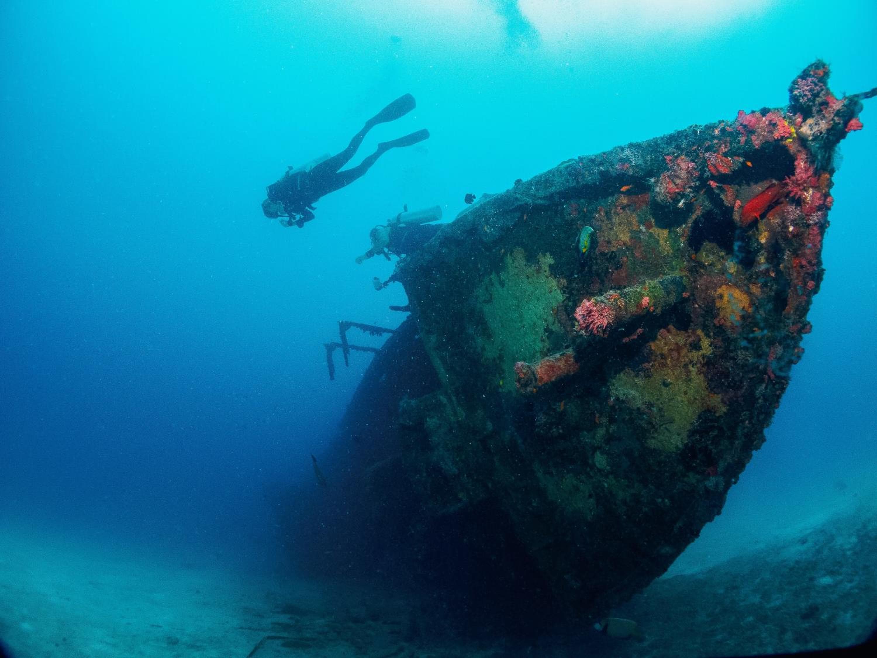 Bliss Dhigurah - View 103