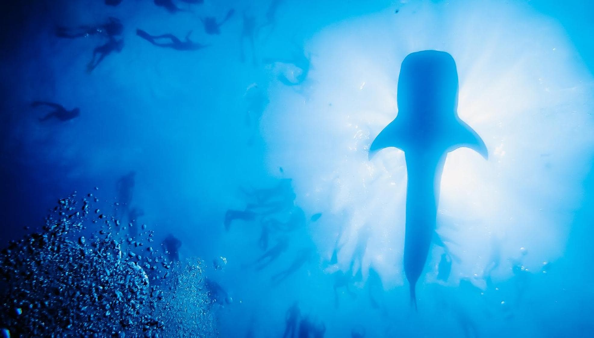 Bliss Dhigurah - View 80