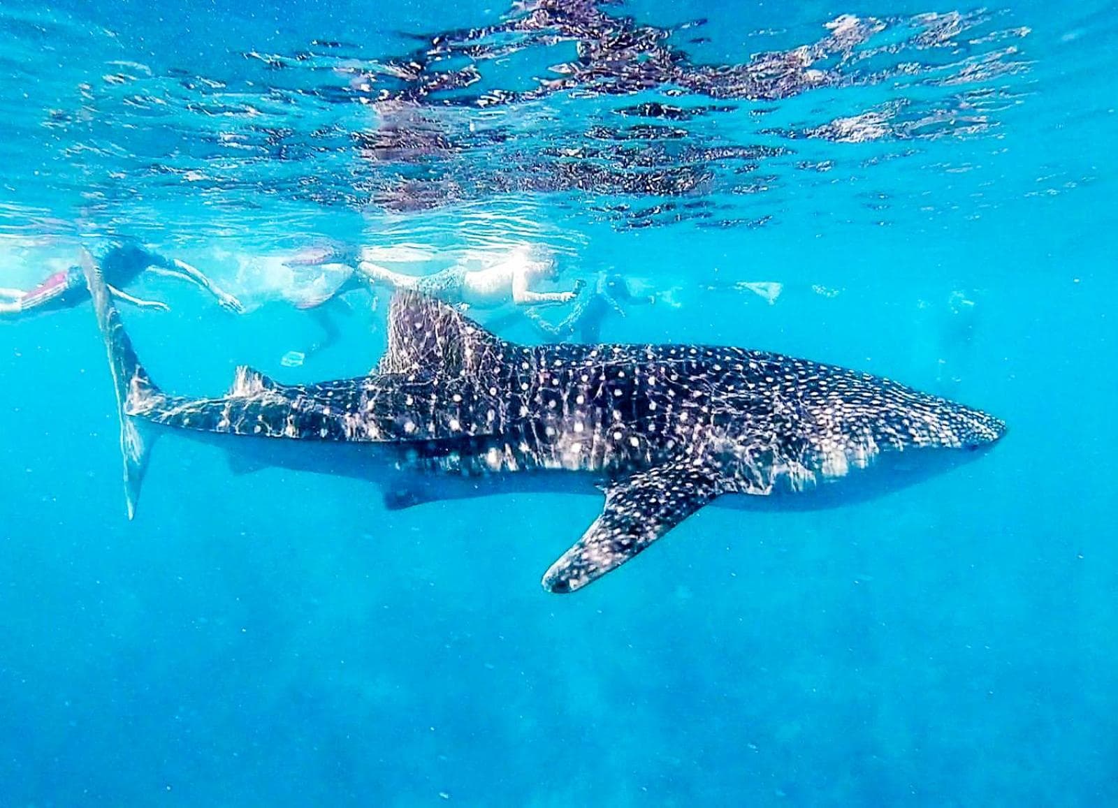 Bliss Dhigurah - View 68