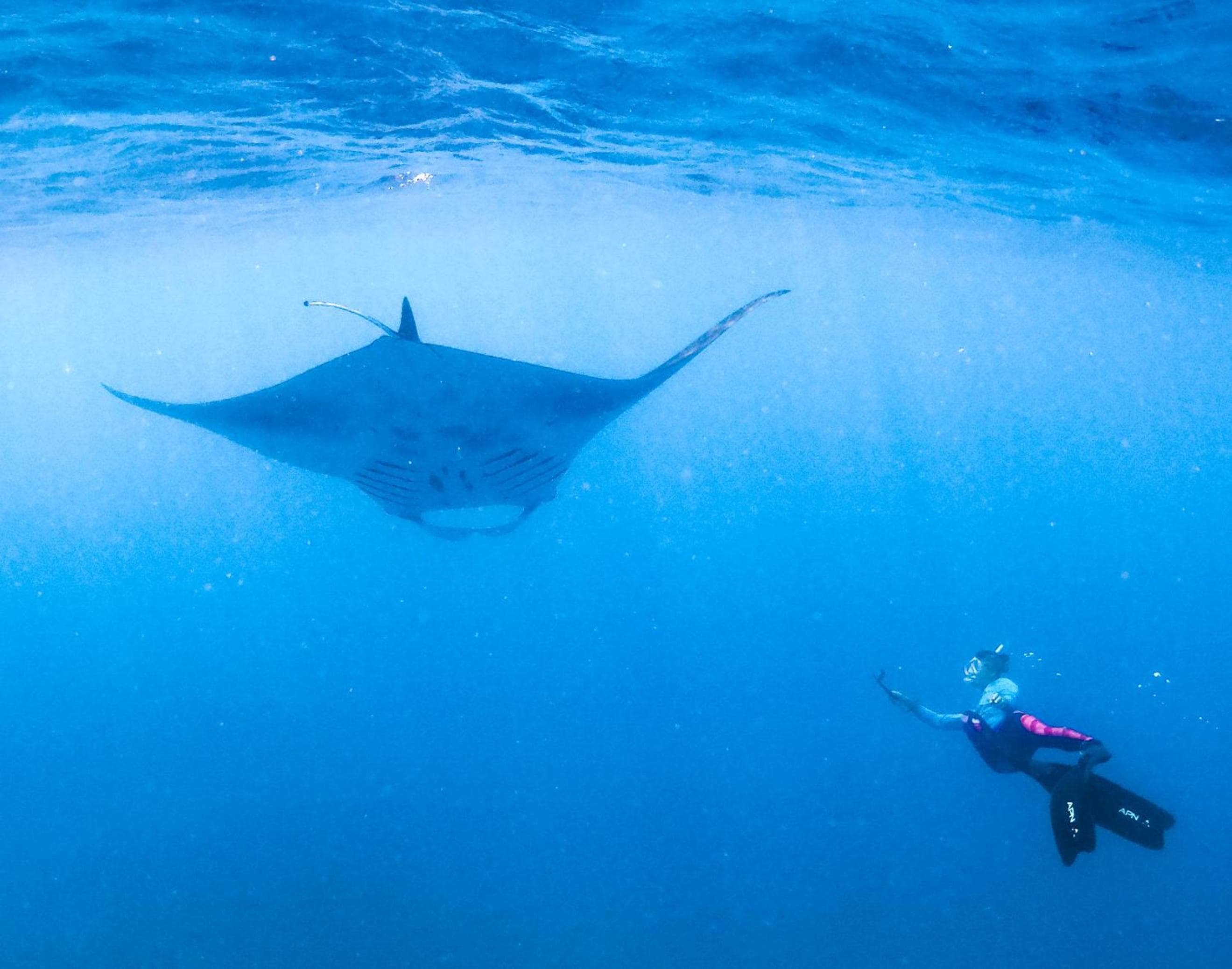 Bliss Dhigurah - View 41