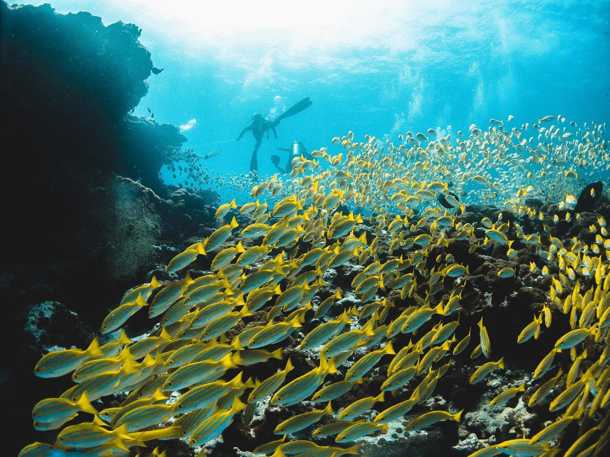 Bliss Dhigurah - View 73