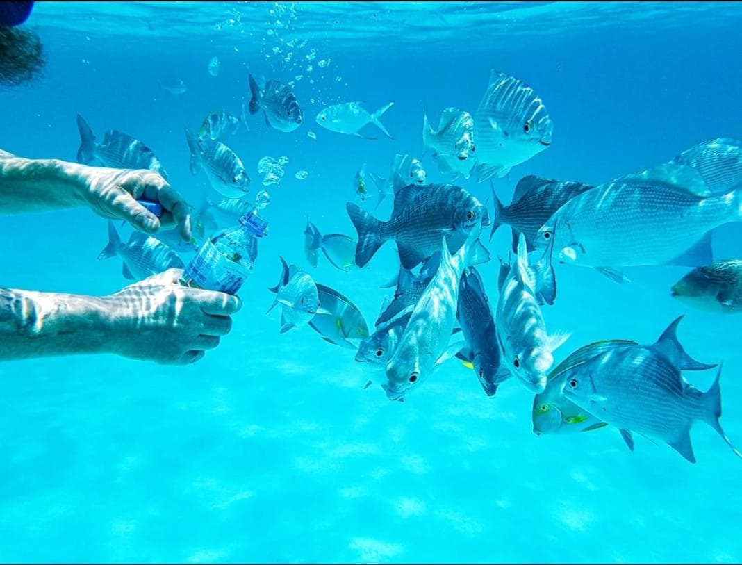 Ras Rana Lodge - View 45