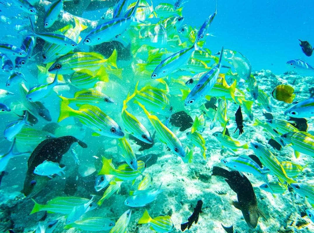 Ras Rana Lodge - View 35