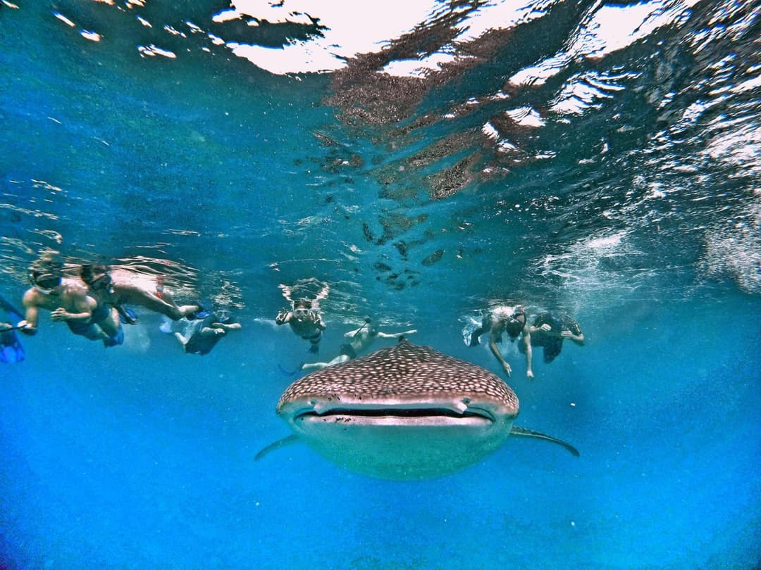 Athiri Beach Maldives - View 39