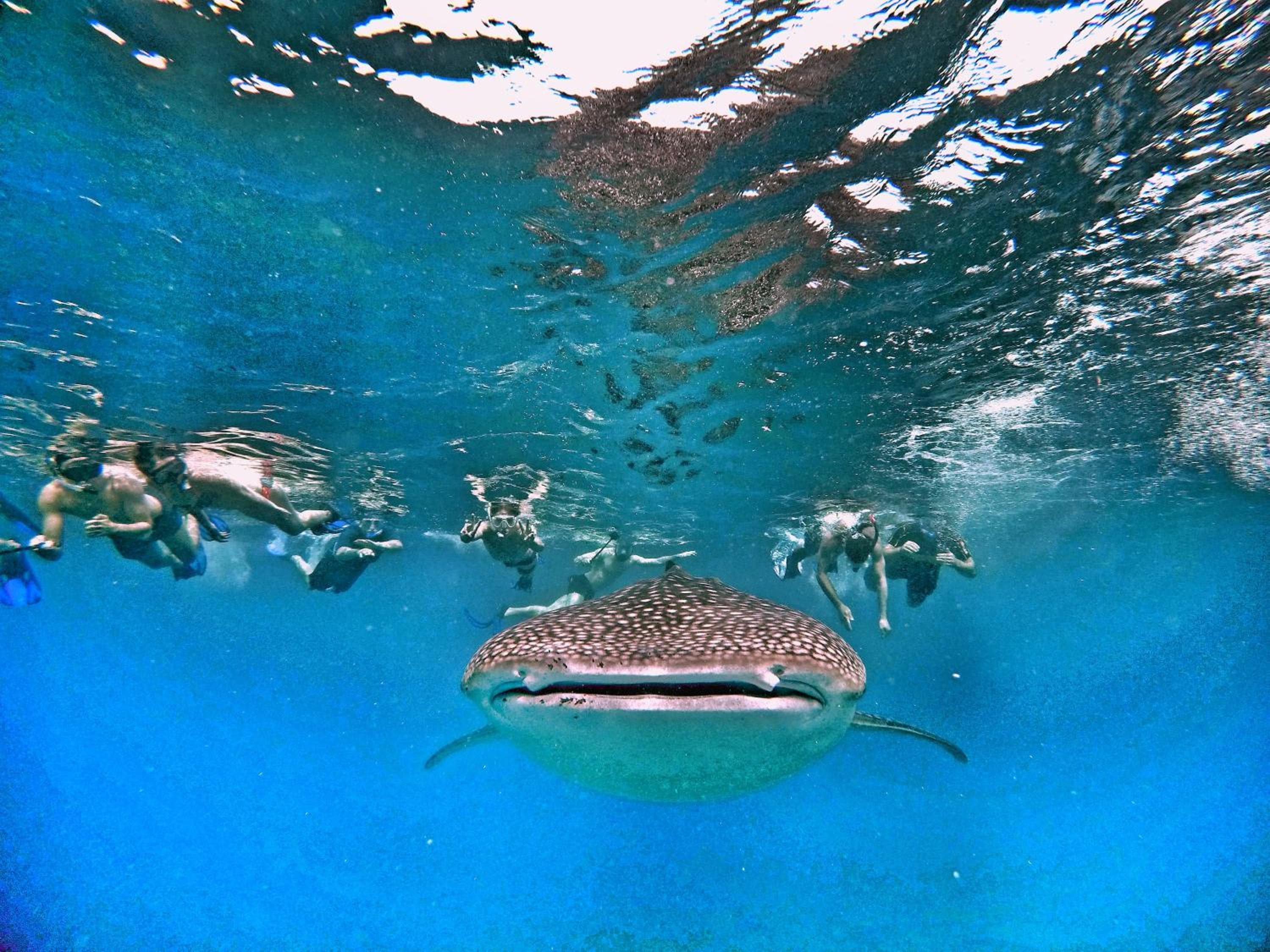 Athiri Beach Maldives - View 28