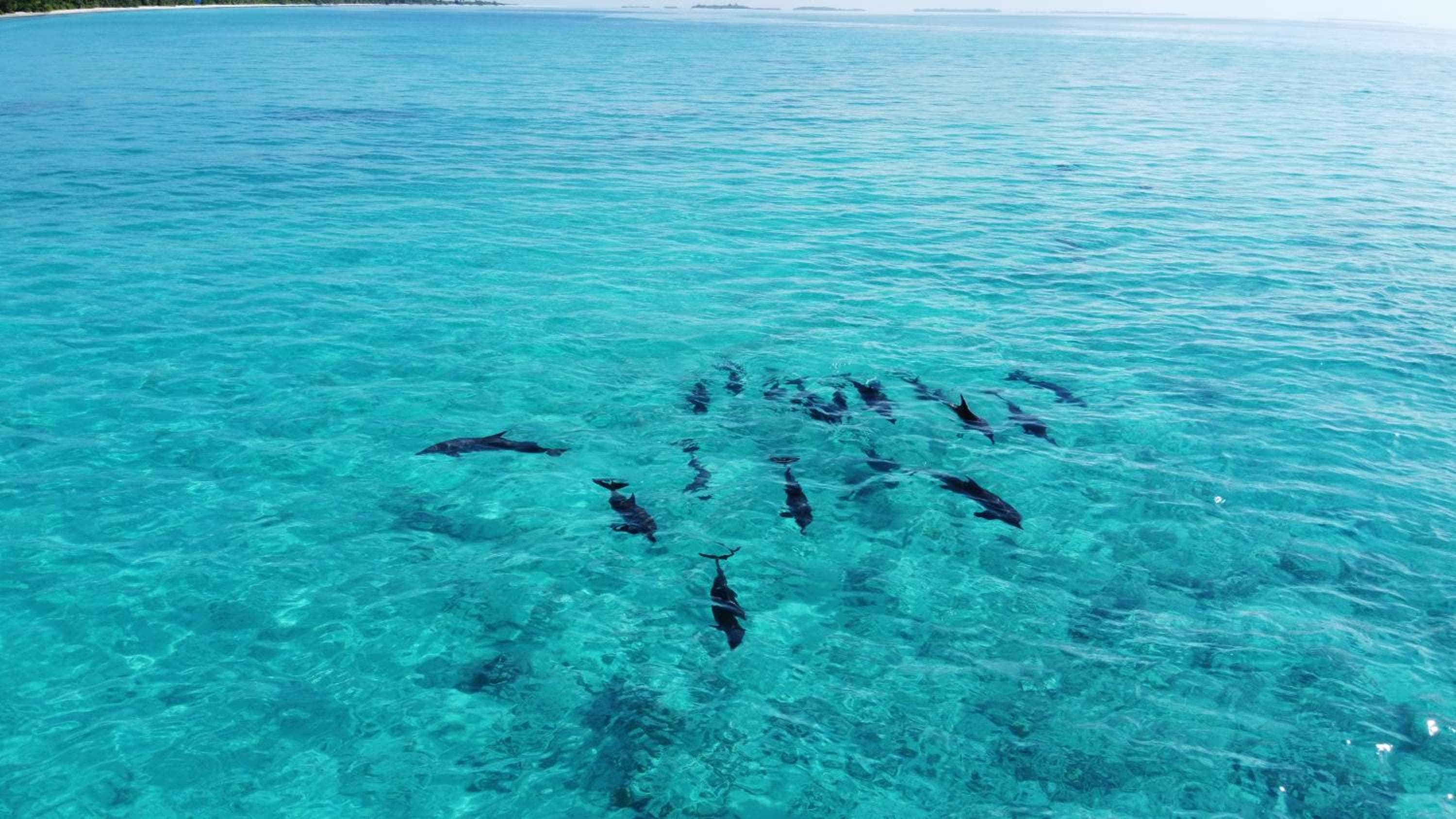 Athiri Beach Maldives - View 26