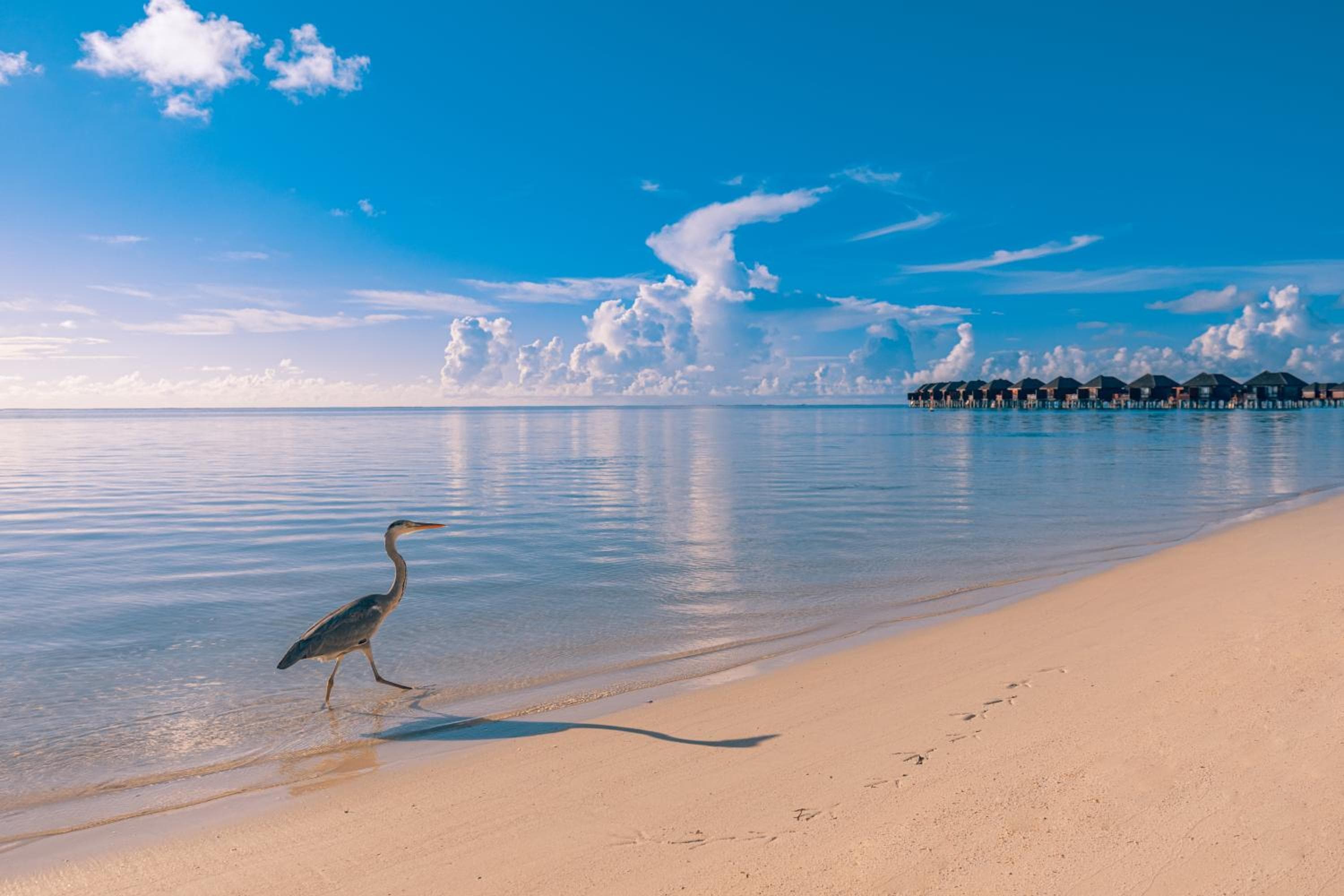 Sun Siyam Olhuveli - View 32