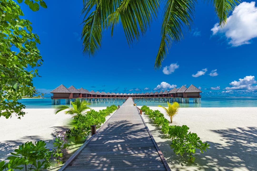 Sun Siyam Olhuveli - View 131