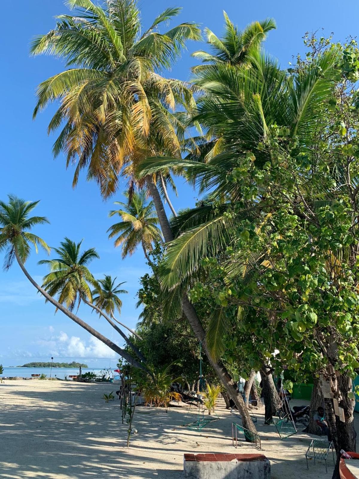 Athens View Hotel - View 115