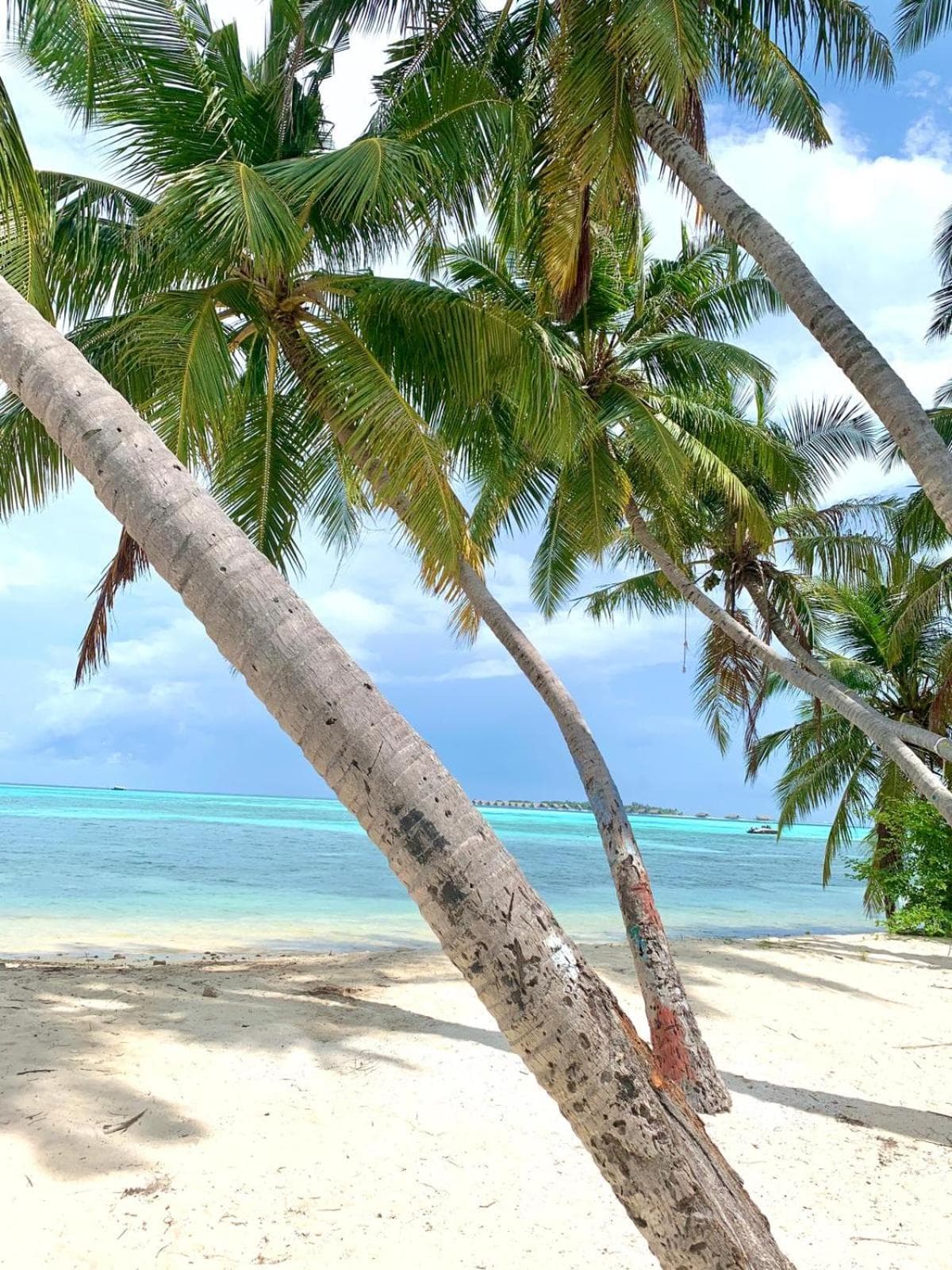 Athens View Hotel - View 92