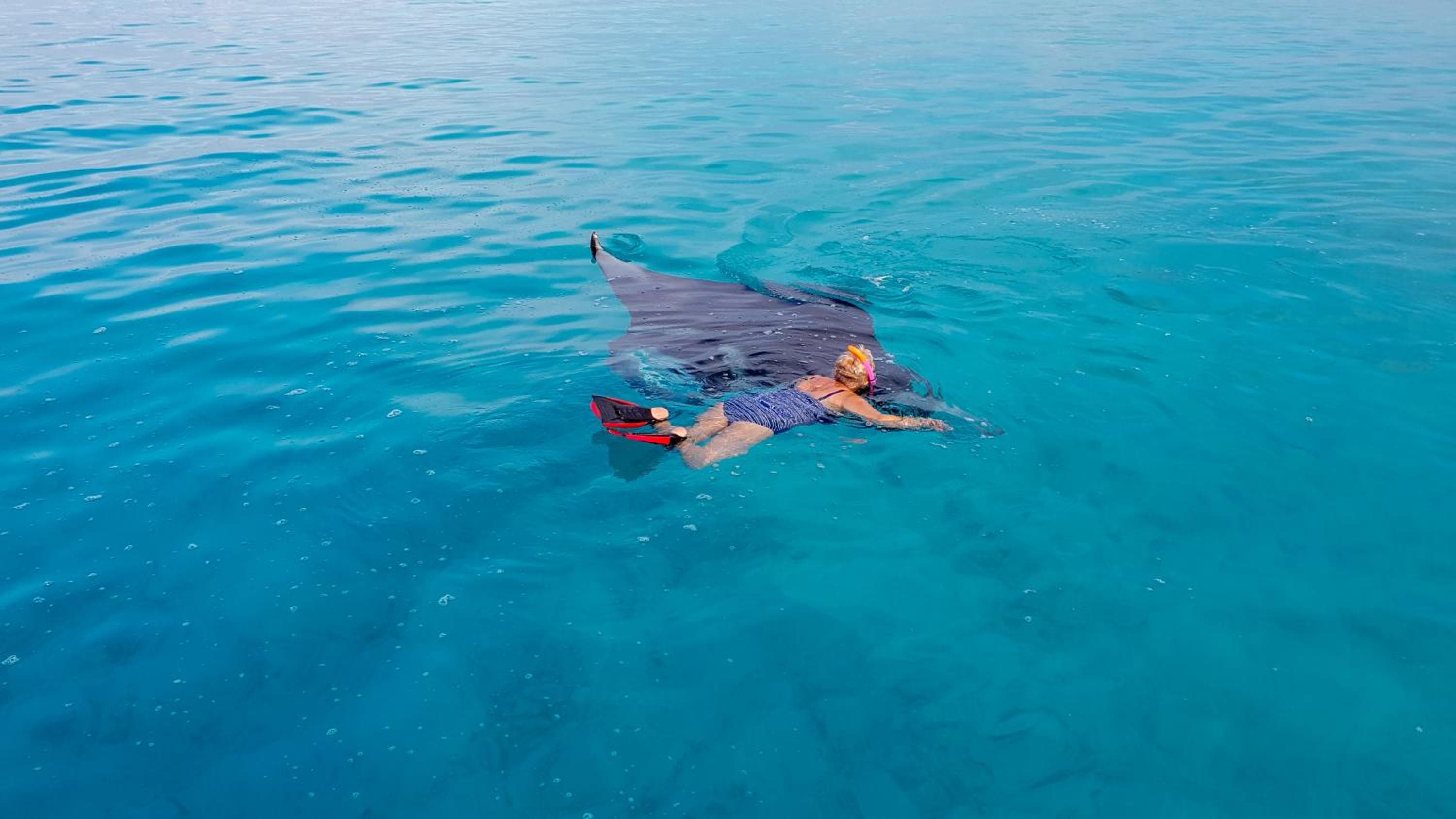 Salt Villa Ukulhas - View 25