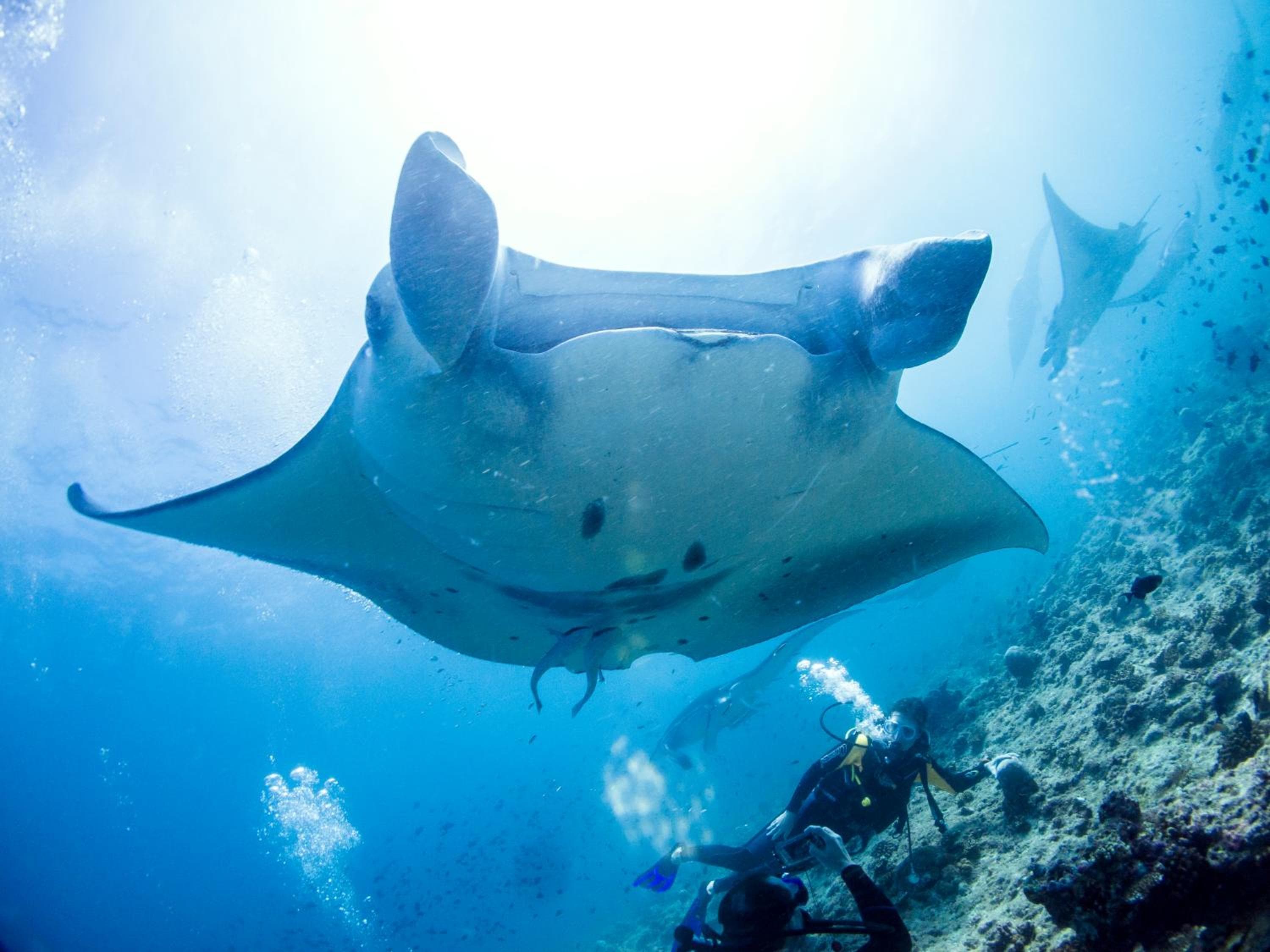 TME Retreats Dhigurah - View 10