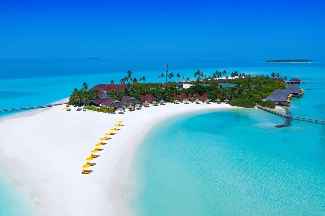 Dhigufaru Island Resort - View 71