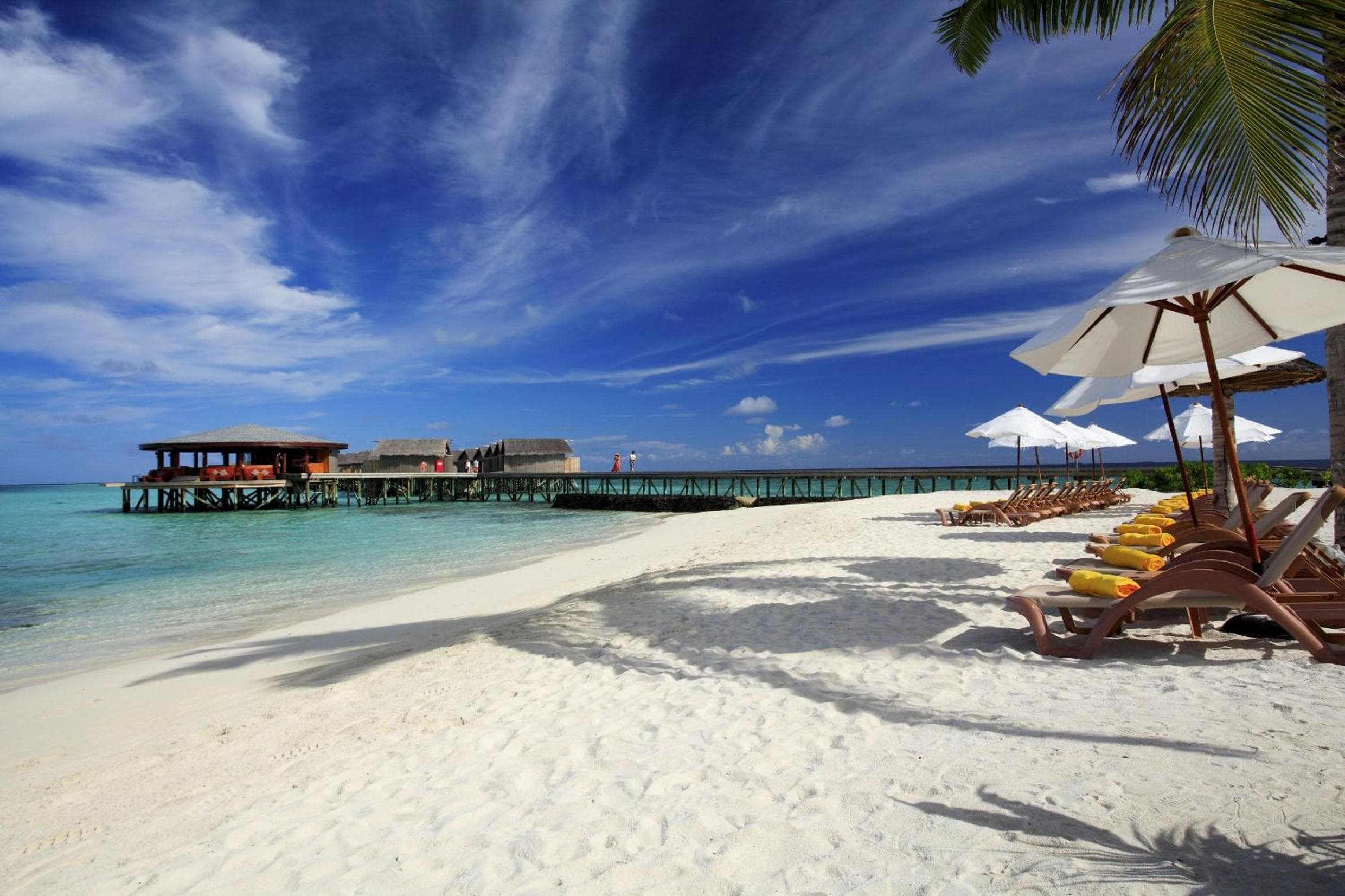 Centara Ras Fushi Resort & Spa Maldives - 50 percent discount on transfers for min 4 nights stay and more, valid for reservations between 11th Feb till 22  - View 42