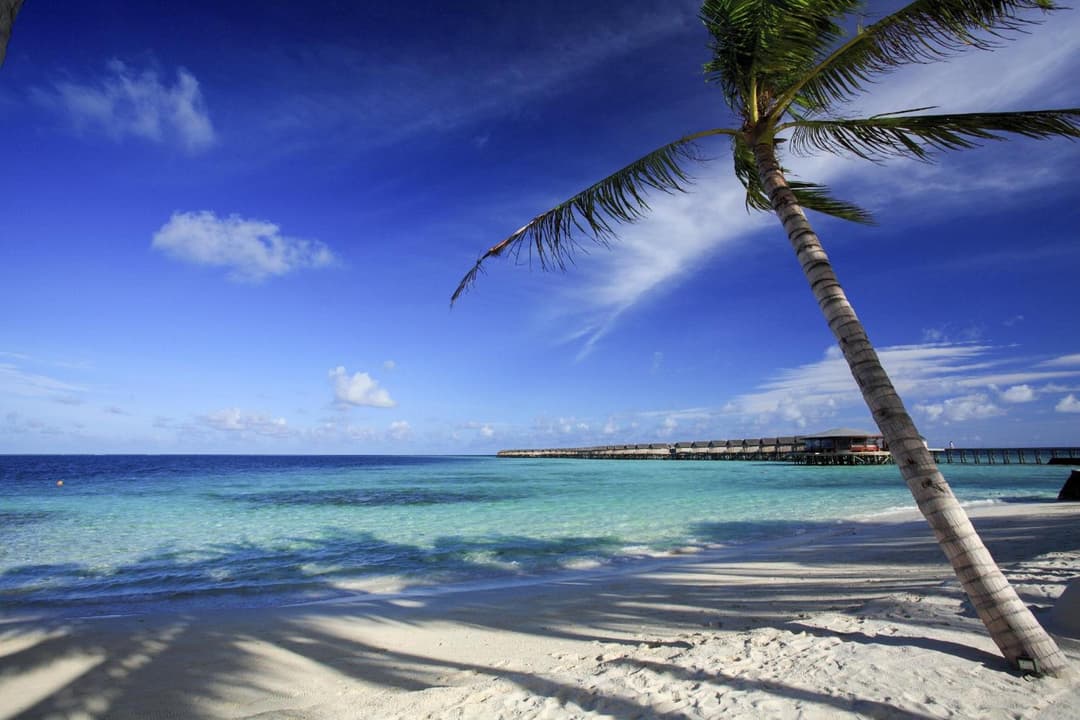 Centara Ras Fushi Resort & Spa Maldives - Stay 4 nights or more and enjoy 40 percent off Speedboat transfers, valid for stays from 6 Apr to 30 Sep 2026 - View 118