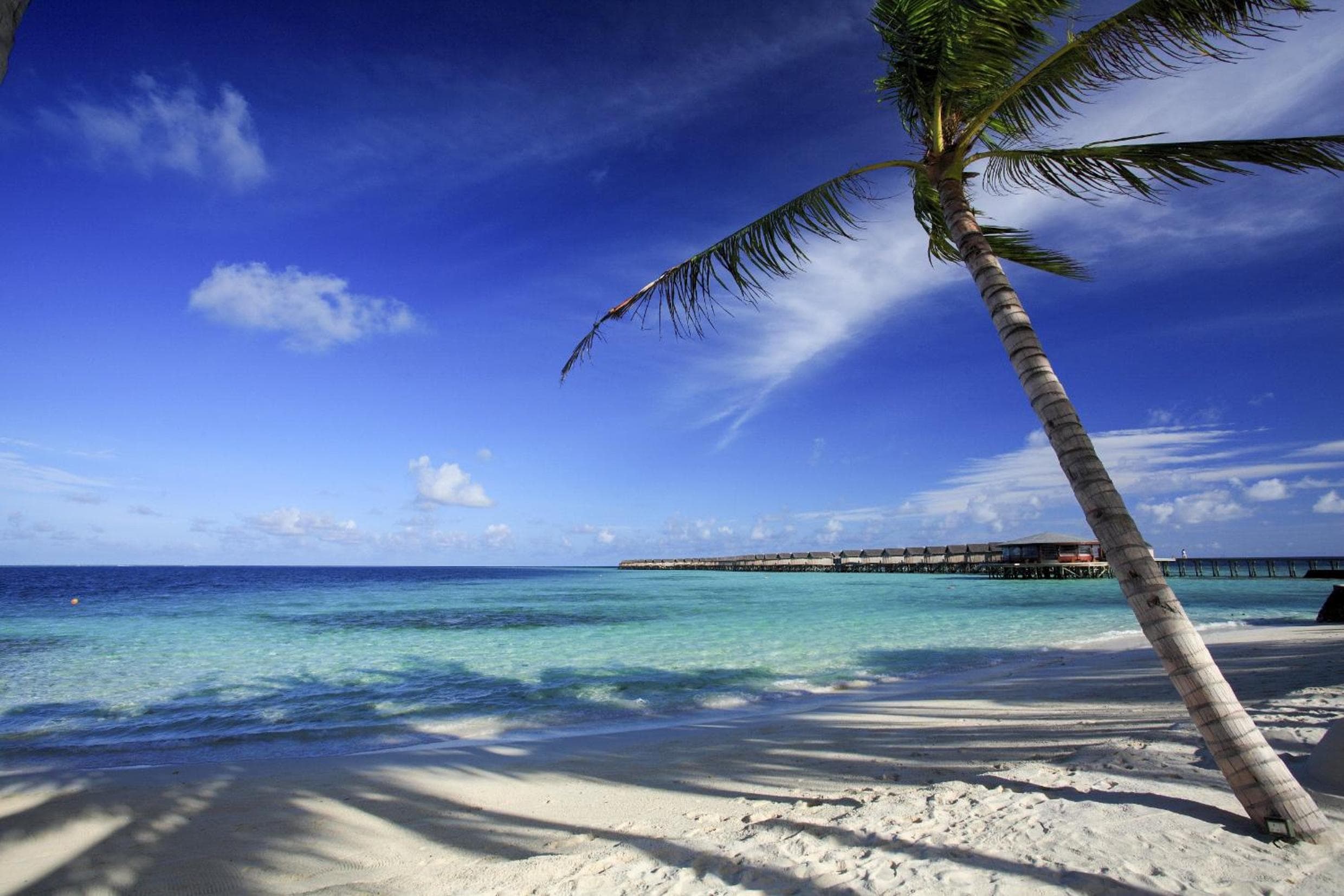 Centara Ras Fushi Resort & Spa Maldives - 50 percent discount on transfers for min 4 nights stay and more, valid for reservations between 11th Feb till 22  - View 43