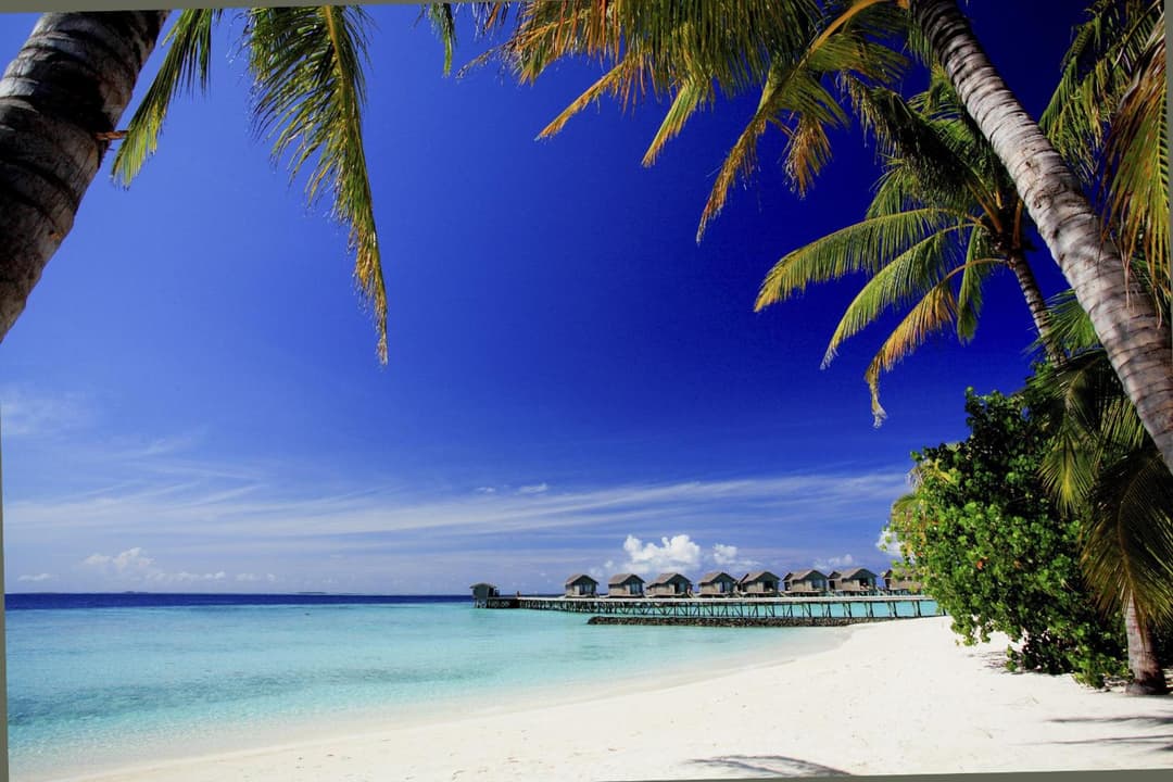 Centara Ras Fushi Resort & Spa Maldives - Stay 4 nights or more and enjoy 40 percent off Speedboat transfers, valid for stays from 6 Apr to 30 Sep 2026 - View 39